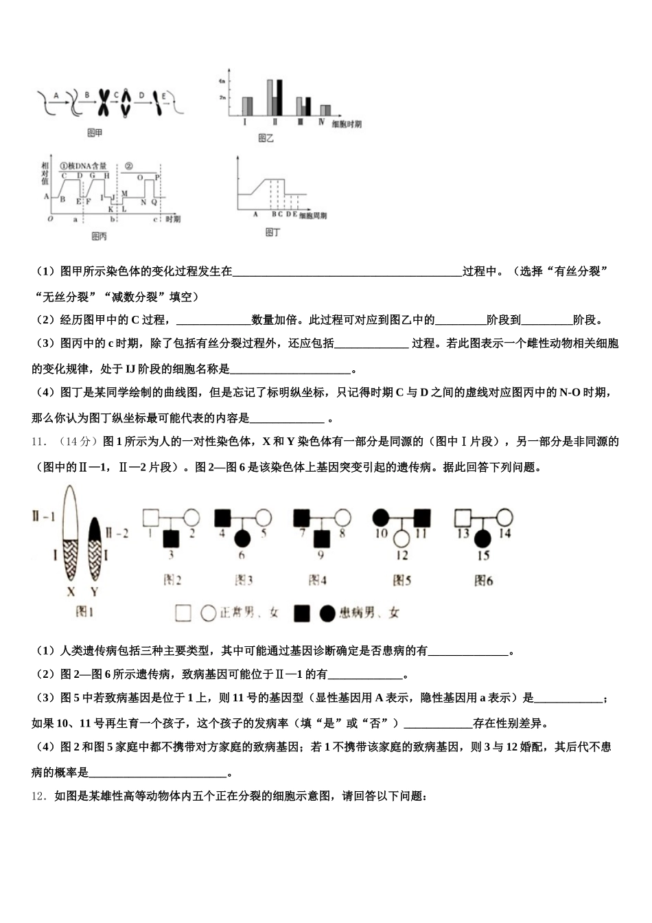2025届黑龙江省克东县第一中学高一下生物期末学业水平测试试题含解析_第3页