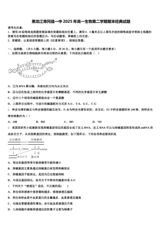 黑龙江青冈县一中2025年高一生物第二学期期末经典试题含解析