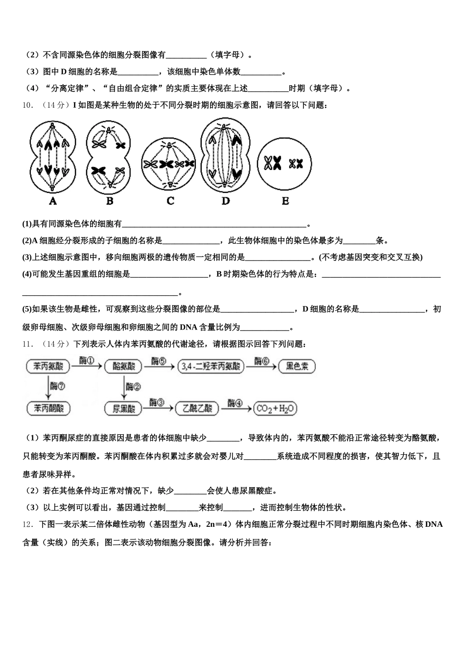 黑龙江省虎林市2025届高一生物第二学期期末考试模拟试题含解析_第3页
