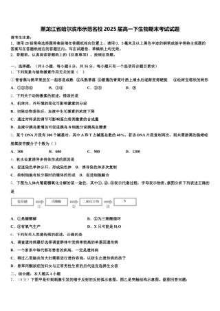 黑龙江省哈尔滨市示范名校2025届高一下生物期末考试试题含解析