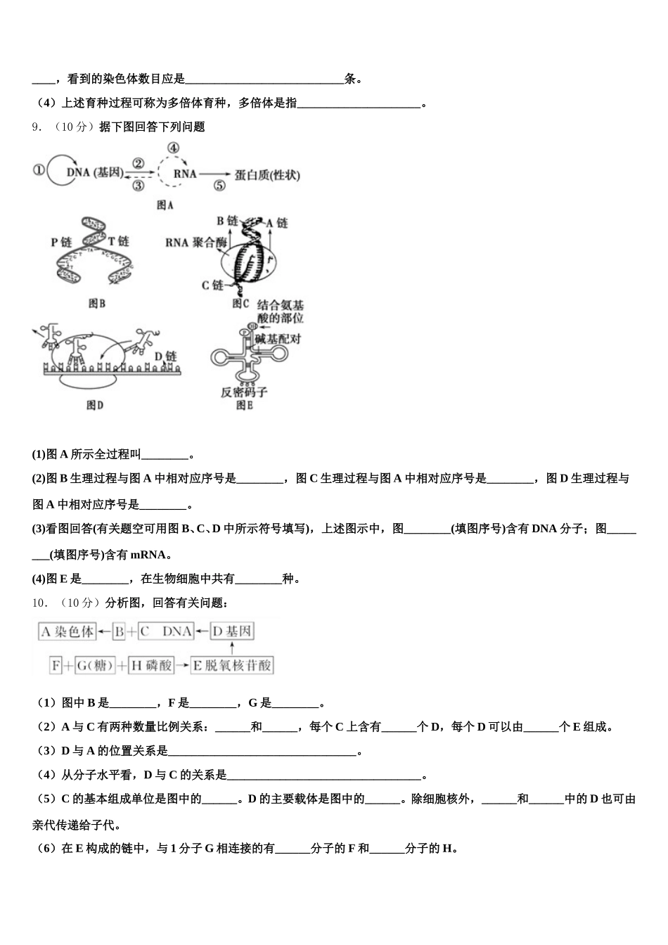 2024-2025学年黑龙江省哈尔滨尚志中学生物高一下期末考试模拟试题含解析_第3页