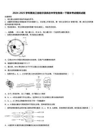 2024-2025学年黑龙江省哈尔滨尚志中学生物高一下期末考试模拟试题含解析
