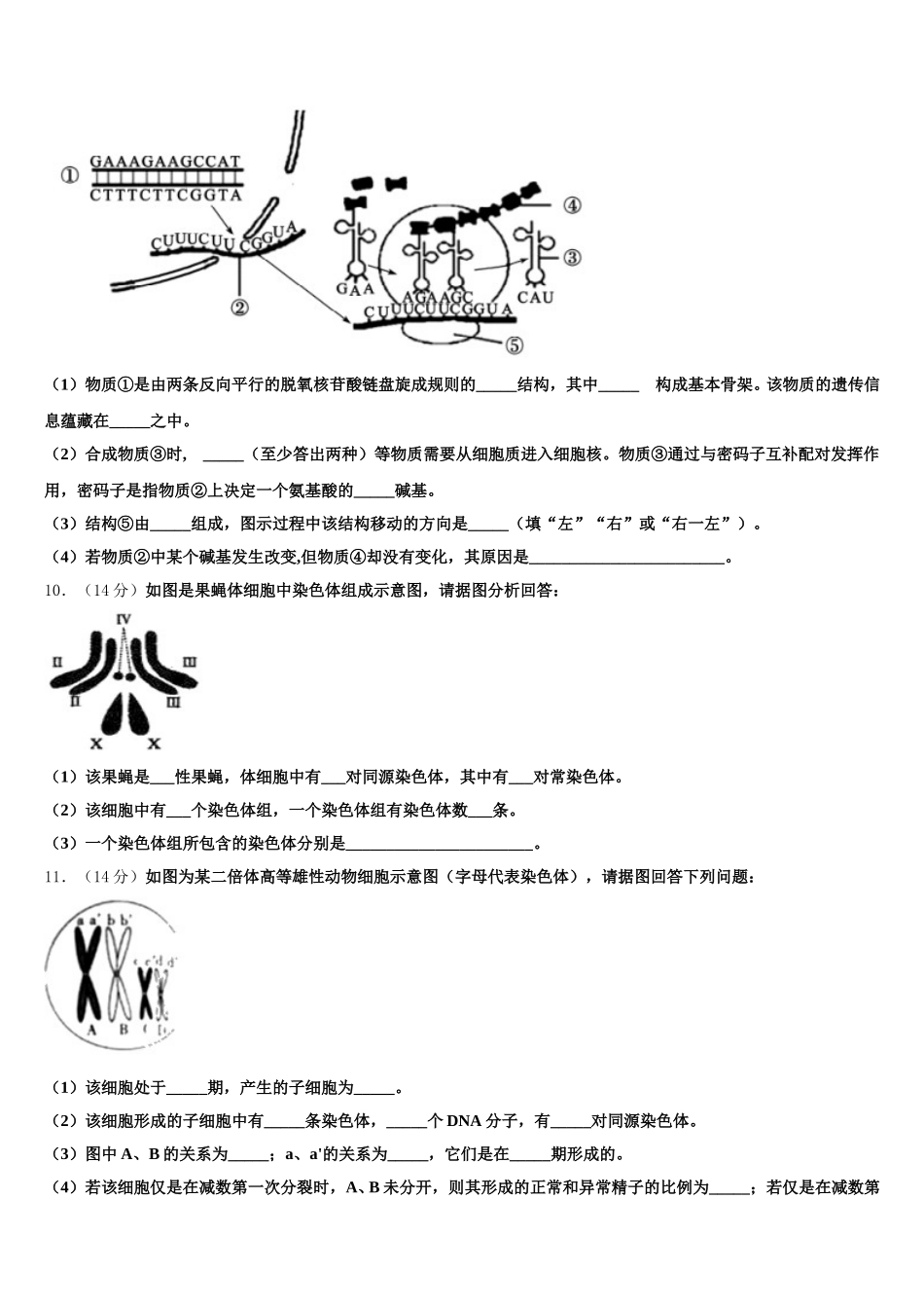 2025届黑龙江省大庆四中高一生物第二学期期末经典试题含解析_第3页