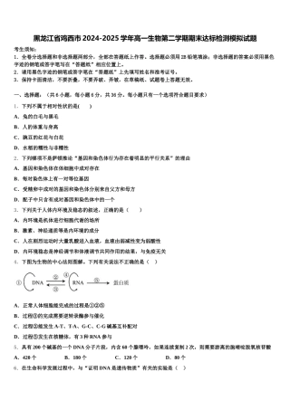 黑龙江省鸡西市2024-2025学年高一生物第二学期期末达标检测模拟试题含解析