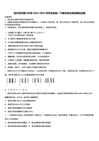 哈尔滨市第六中学2024-2025学年生物高一下期末综合测试模拟试题含解析