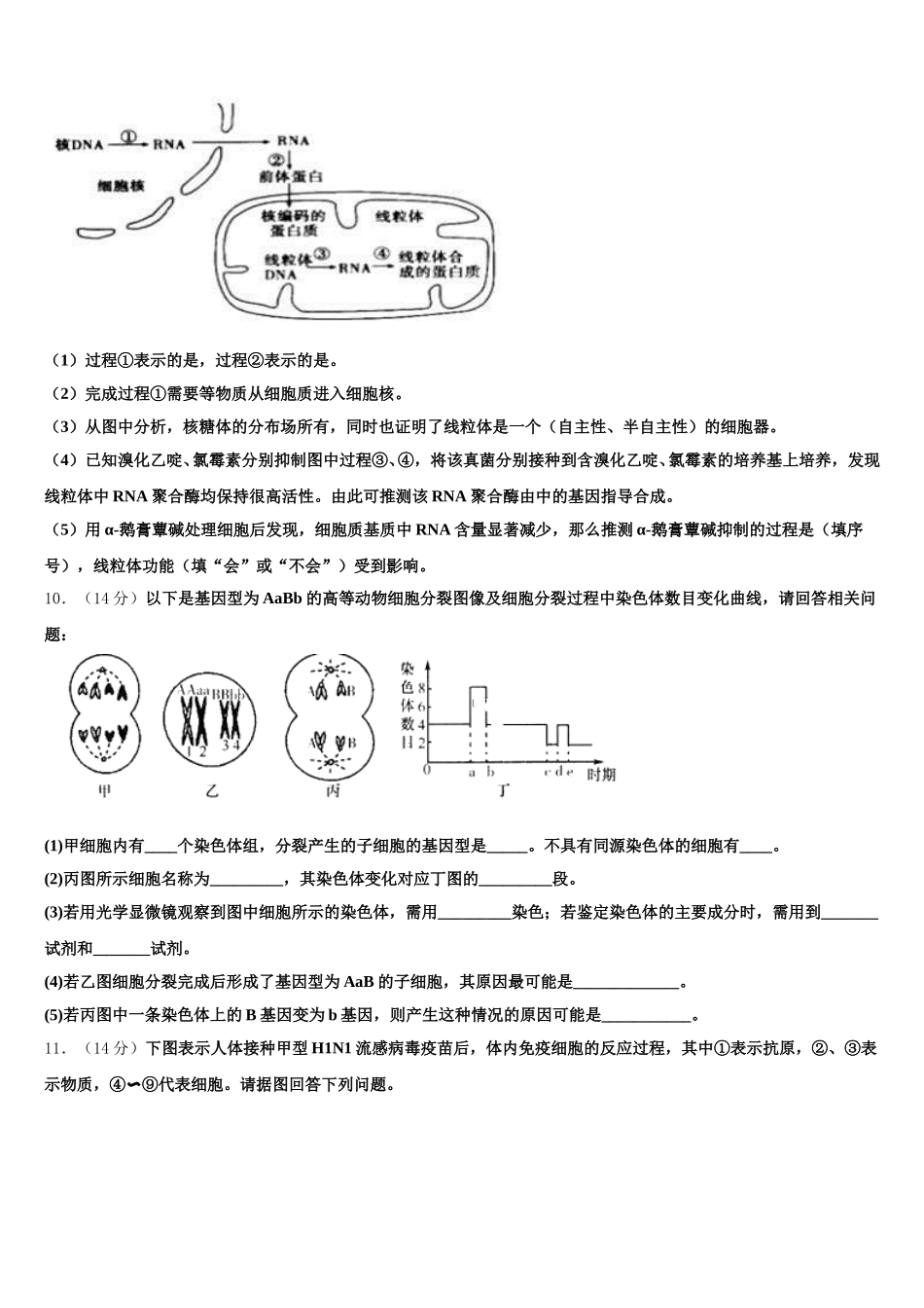 2024-2025学年黑龙江省大庆市十中生物高一第二学期期末经典试题含解析_第3页