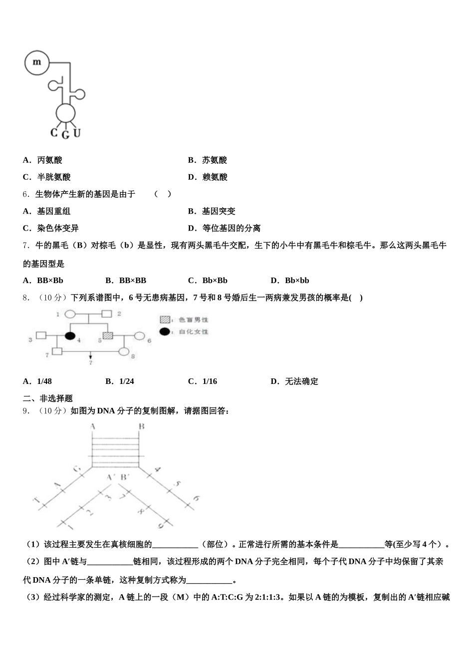 2025年黑龙江省大庆市四中生物高一下期末经典试题含解析_第2页