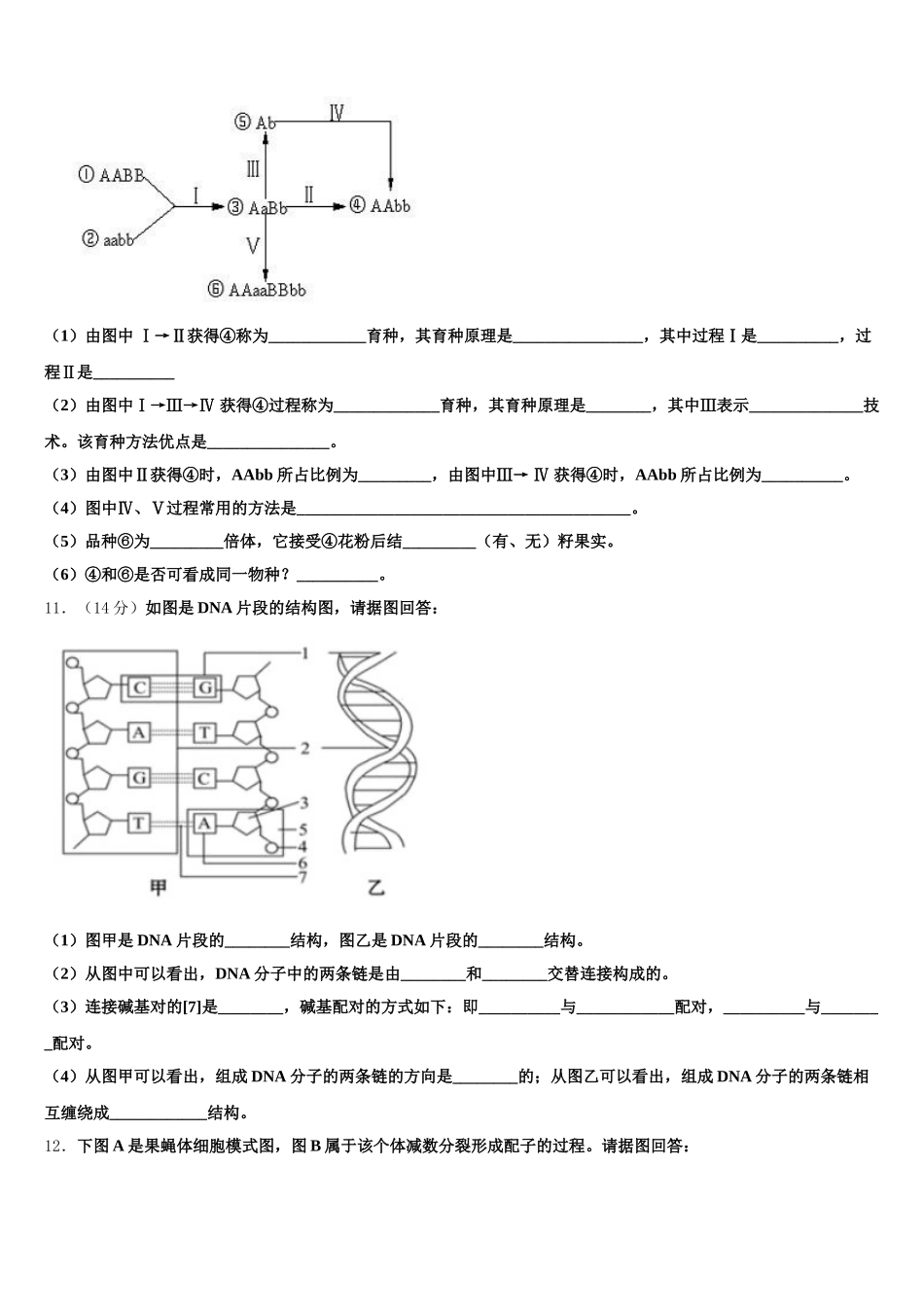 黑龙江省哈尔滨市尚志市尚志中学2025届生物高一下期末复习检测试题含解析_第3页