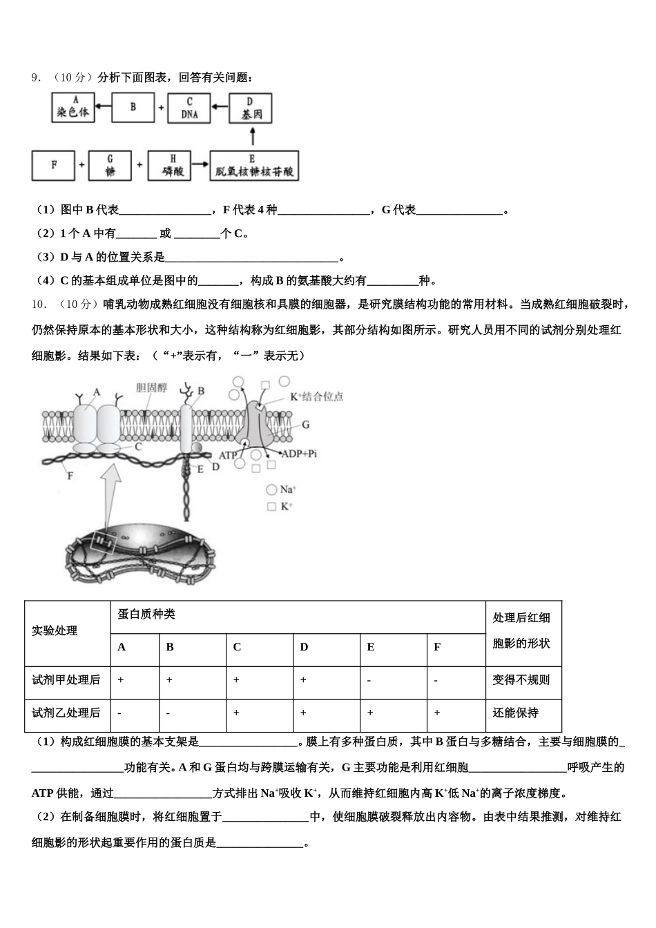 2025届黑龙江省齐齐哈尔市第十一中学高一下生物期末质量跟踪监视试题含解析_第3页