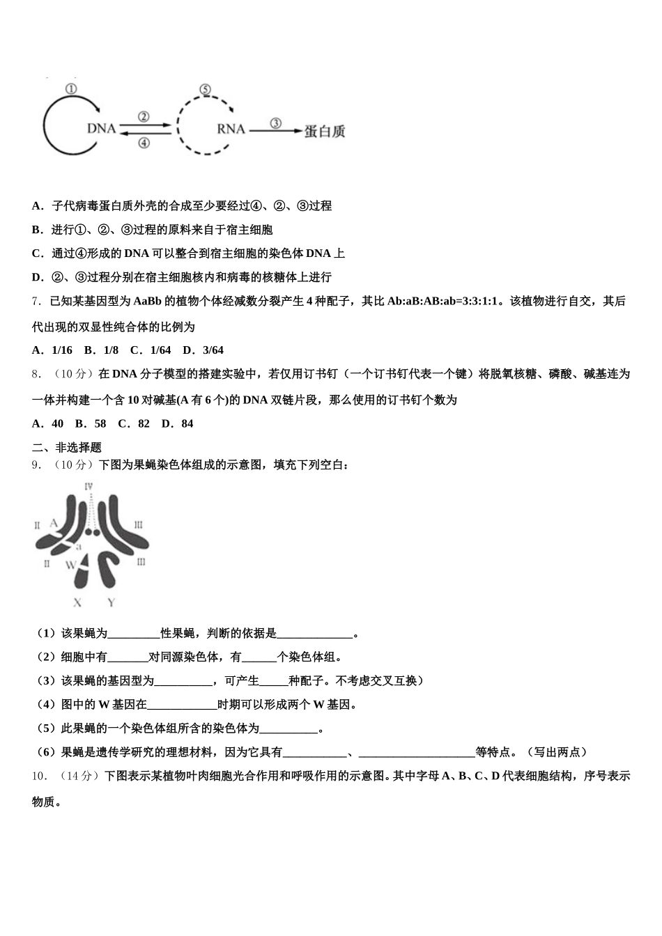 2025届黑龙江省伊春市第一中学高一生物第二学期期末调研模拟试题含解析_第2页
