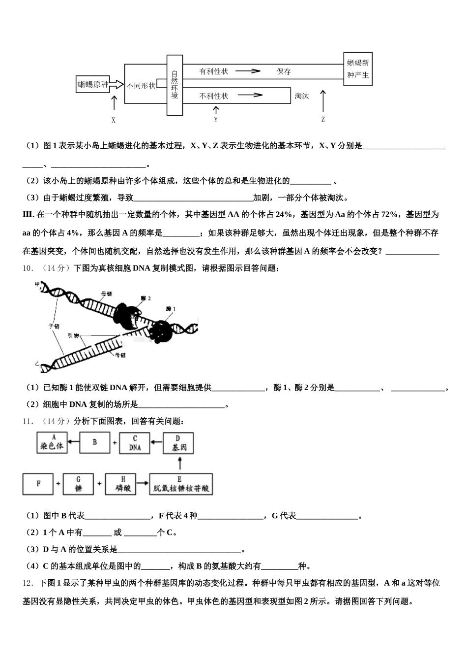2025届双鸭山市重点中学生物高一下期末质量跟踪监视模拟试题含解析_第3页