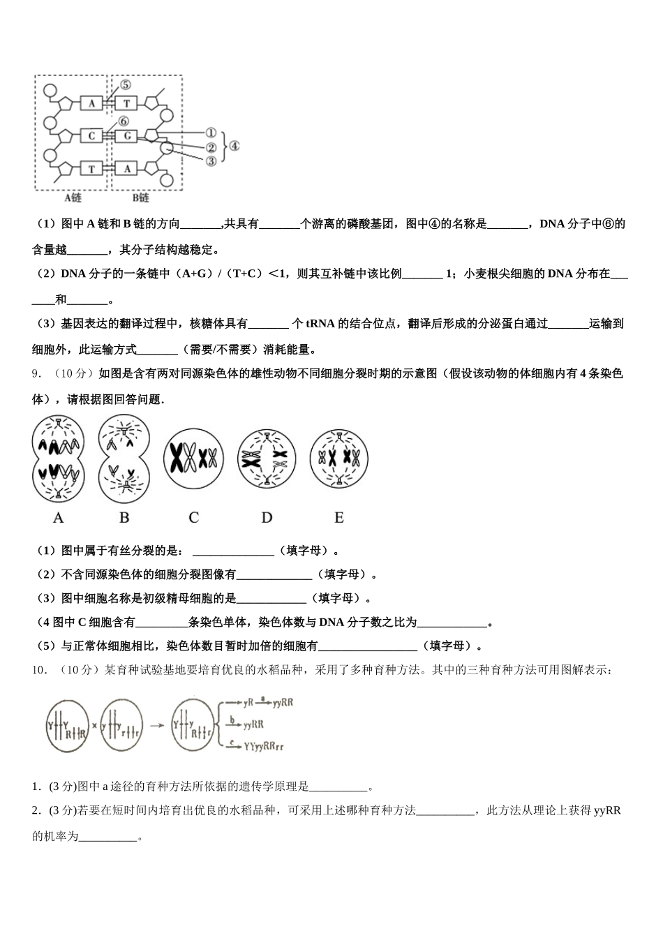 黑龙江省大庆第一中学2025届高一下生物期末学业质量监测模拟试题含解析_第3页