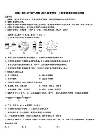 黑龙江哈尔滨市第九中学2025年生物高一下期末学业质量监测试题含解析