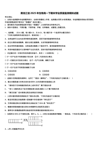 黑龙江省2025年生物高一下期末学业质量监测模拟试题含解析