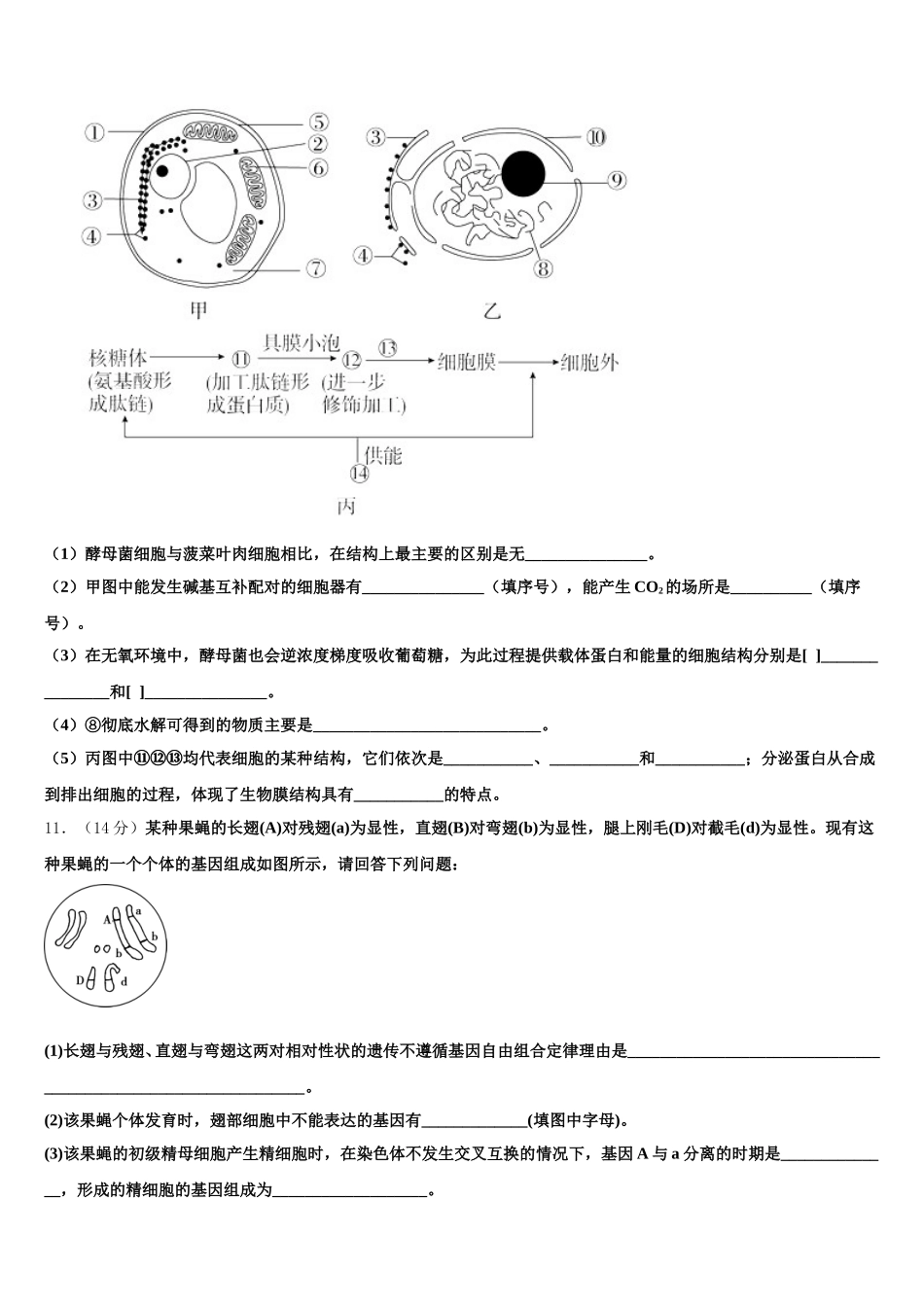 黑龙江省哈尔滨市实验中学2025届生物高一下期末预测试题含解析_第3页