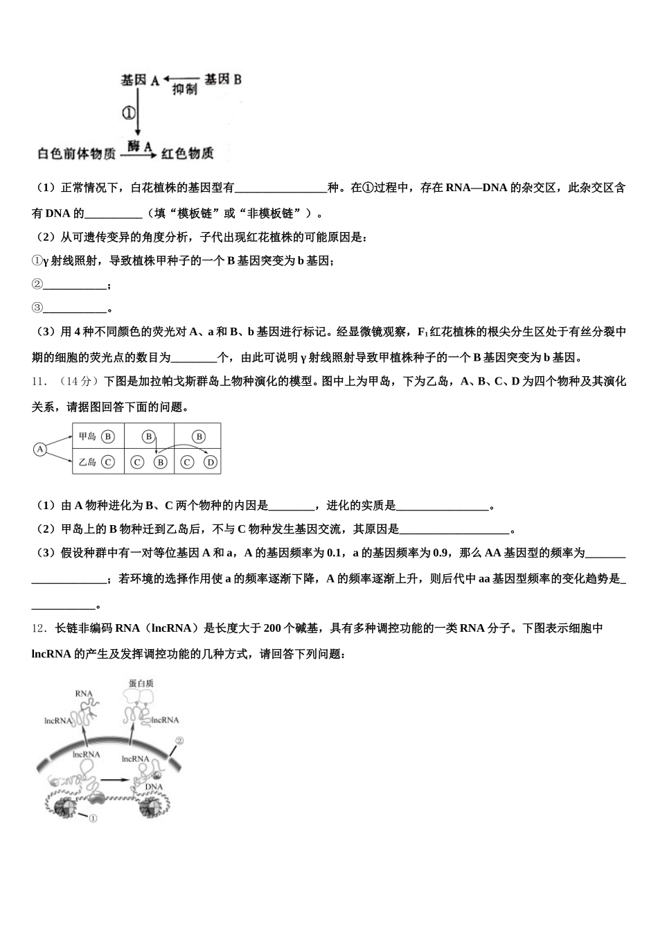 黑龙江省哈尔滨市呼兰区第一中学2025年高一生物第二学期期末达标检测模拟试题含解析_第3页