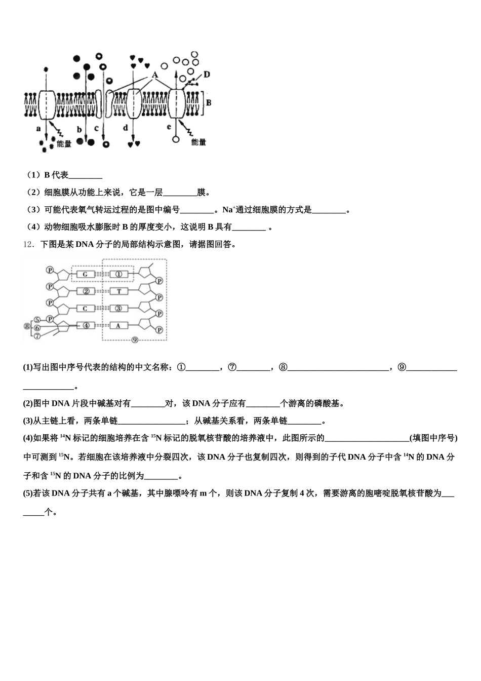 2025年哈三中高一生物第二学期期末联考试题含解析_第3页
