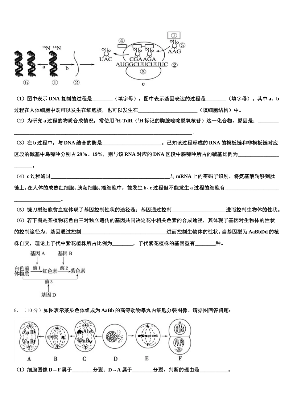 黑龙江省哈尔滨市第24中学2024-2025学年高一生物第二学期期末学业水平测试模拟试题含解析_第3页