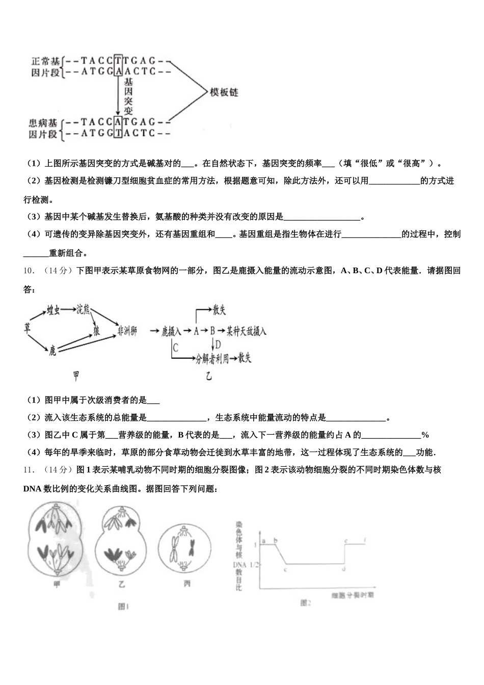 黑龙江齐齐哈尔市2024-2025学年高一生物第二学期期末教学质量检测模拟试题含解析_第3页