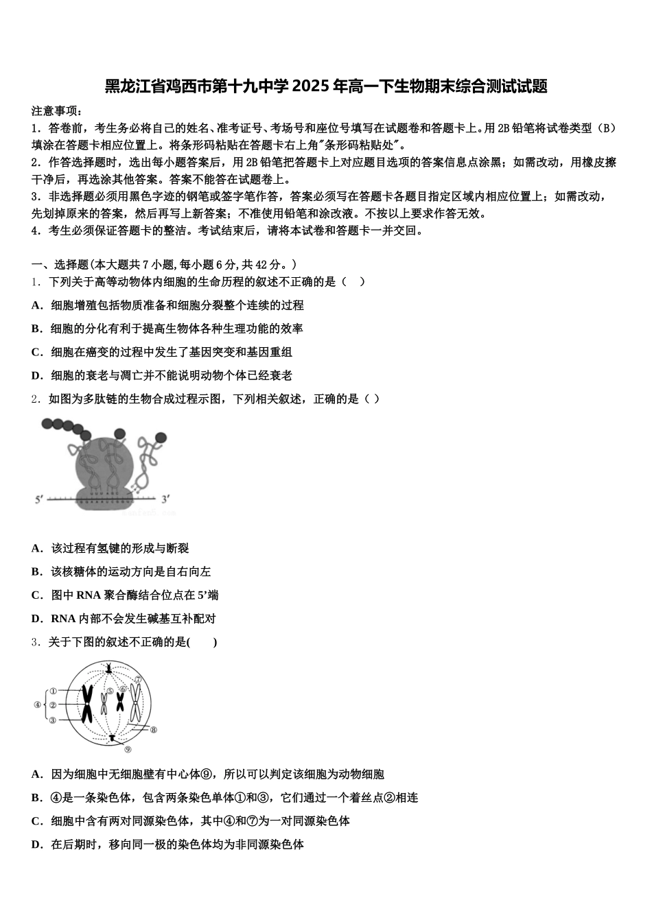 黑龙江省鸡西市第十九中学2025年高一下生物期末综合测试试题含解析_第1页
