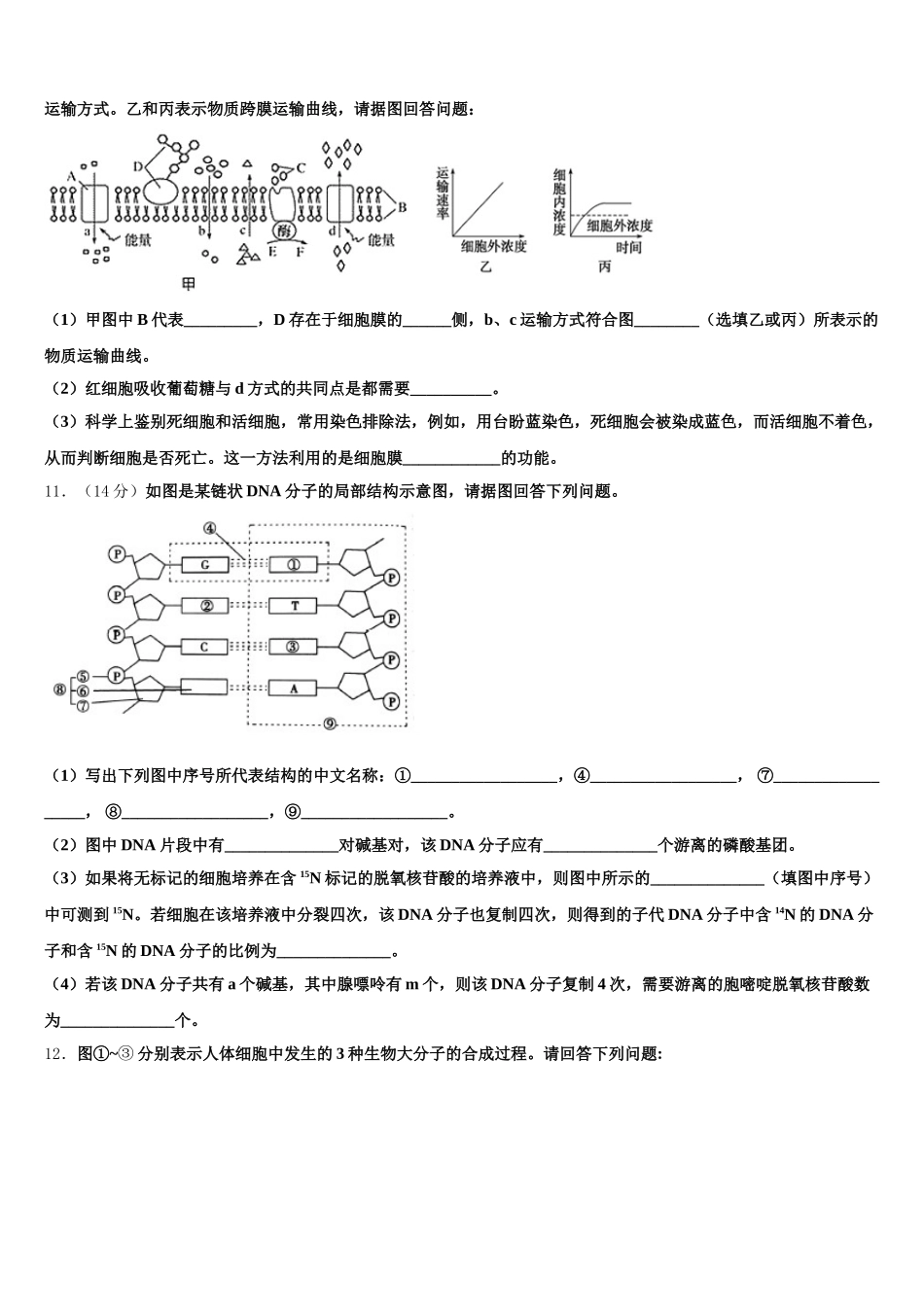 2024-2025学年黑龙江省哈师大附中生物高一下期末联考模拟试题含解析_第3页