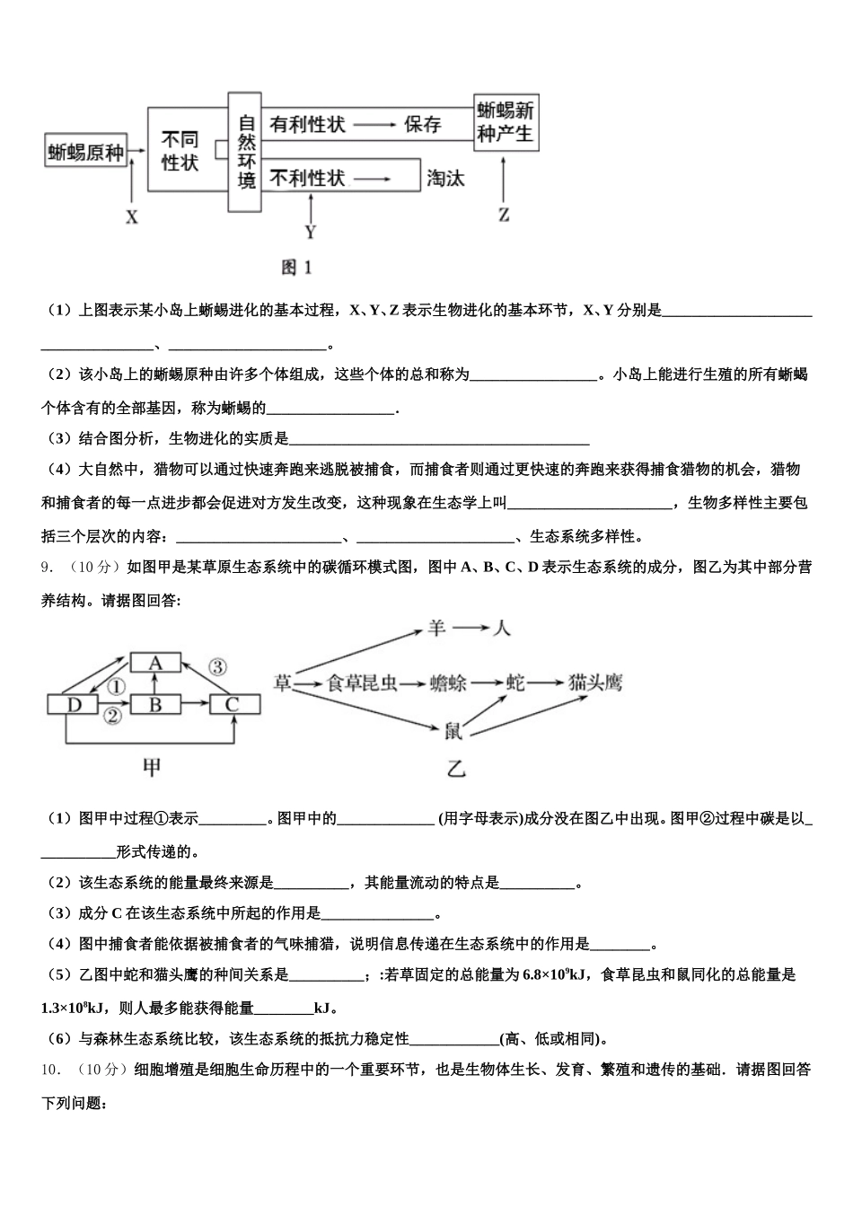 2025年黑龙江省大庆市东风中学生物高一第二学期期末统考试题含解析_第3页