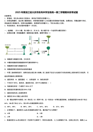2025年黑龙江省大庆市东风中学生物高一第二学期期末统考试题含解析