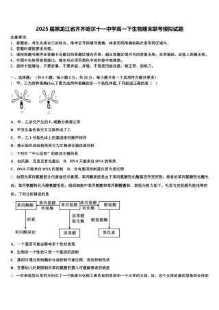2025届黑龙江省齐齐哈尔十一中学高一下生物期末联考模拟试题含解析
