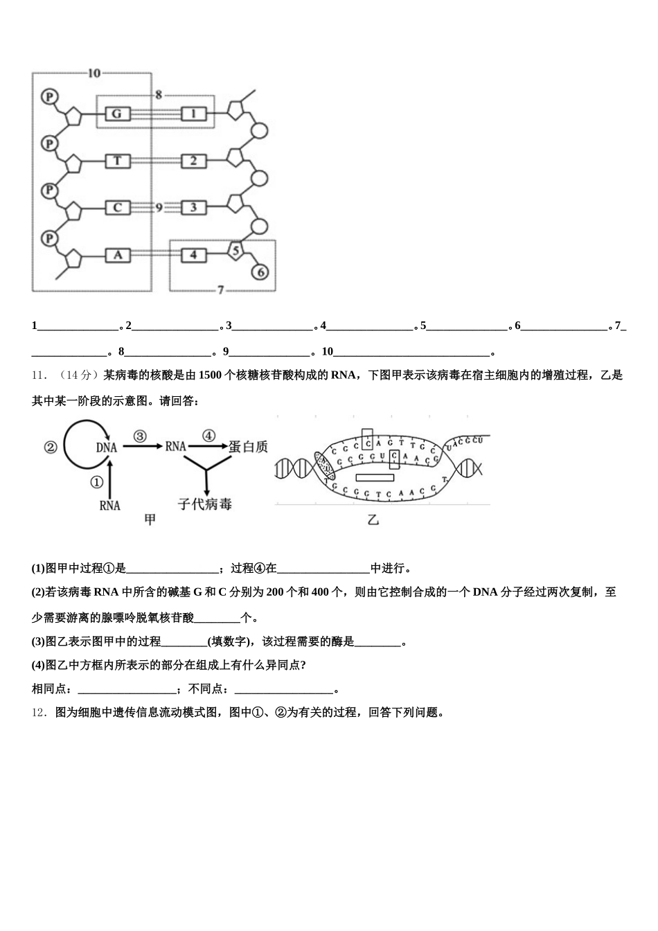 2025年黑龙江省绥化市绥棱县林业局中学生物高一下期末质量跟踪监视模拟试题含解析_第3页