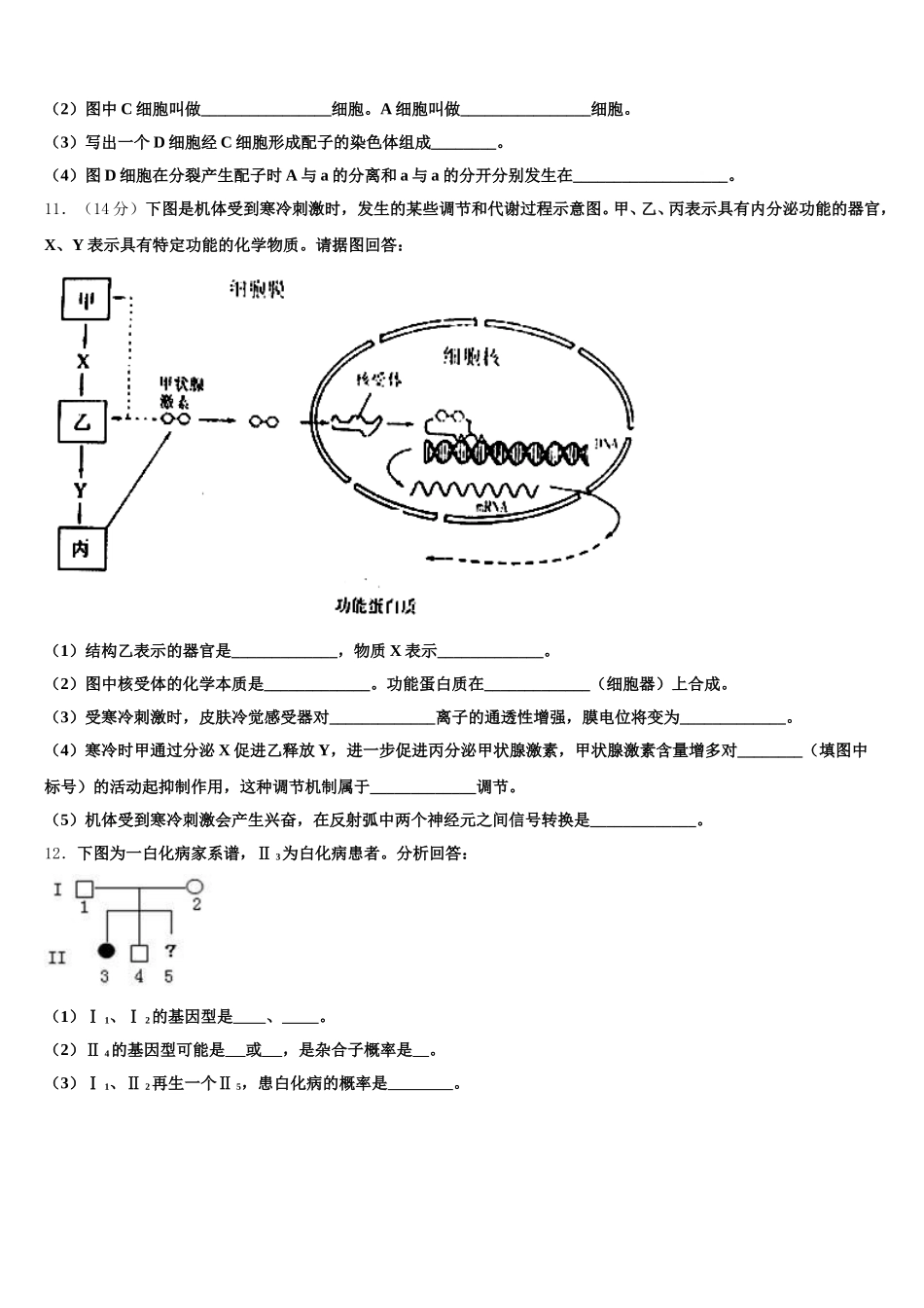 2024-2025学年黑龙江省哈尔滨市高一下生物期末检测模拟试题含解析_第3页