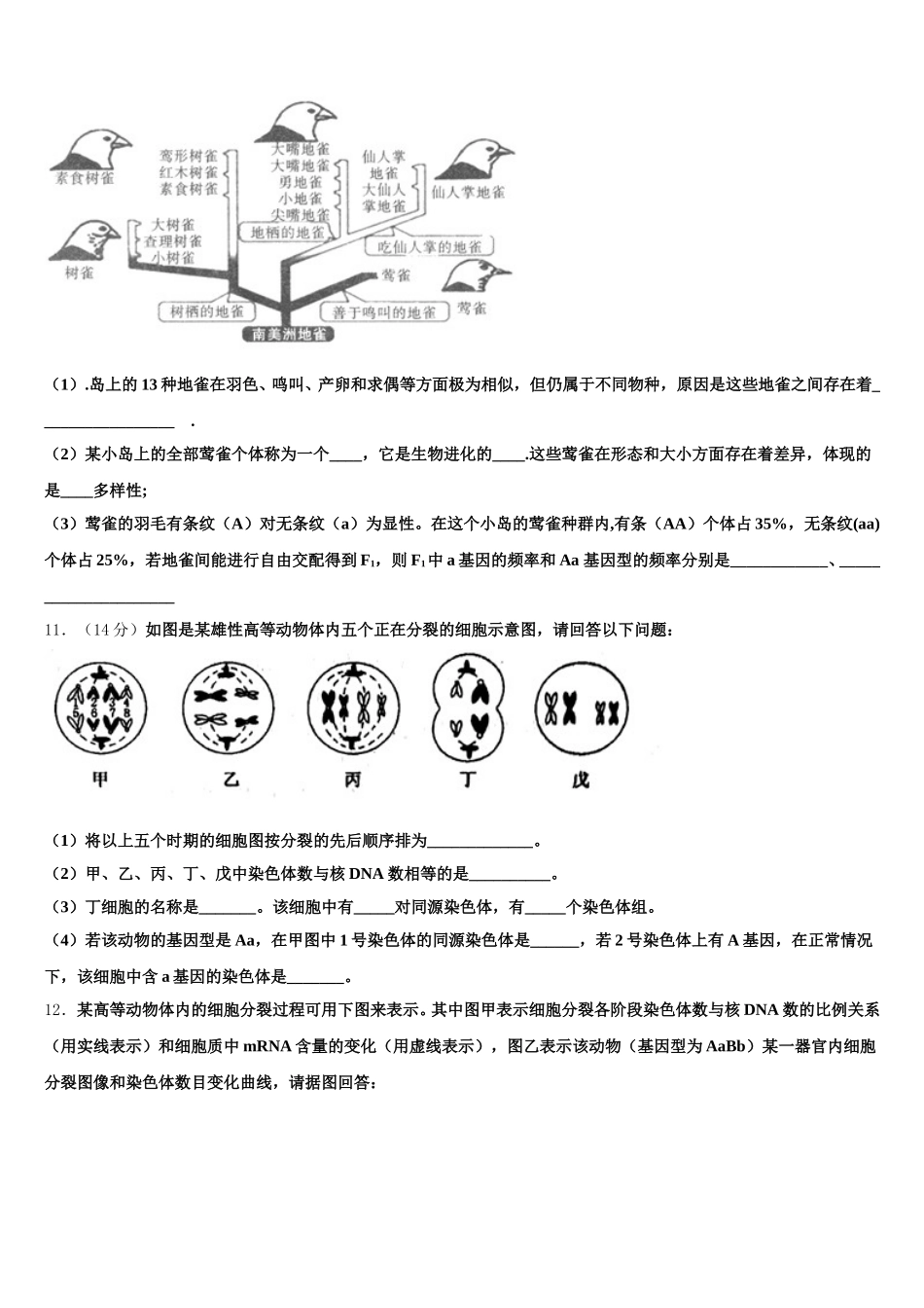 2024-2025学年东北师范大学附属中学高一生物第二学期期末考试模拟试题含解析_第3页