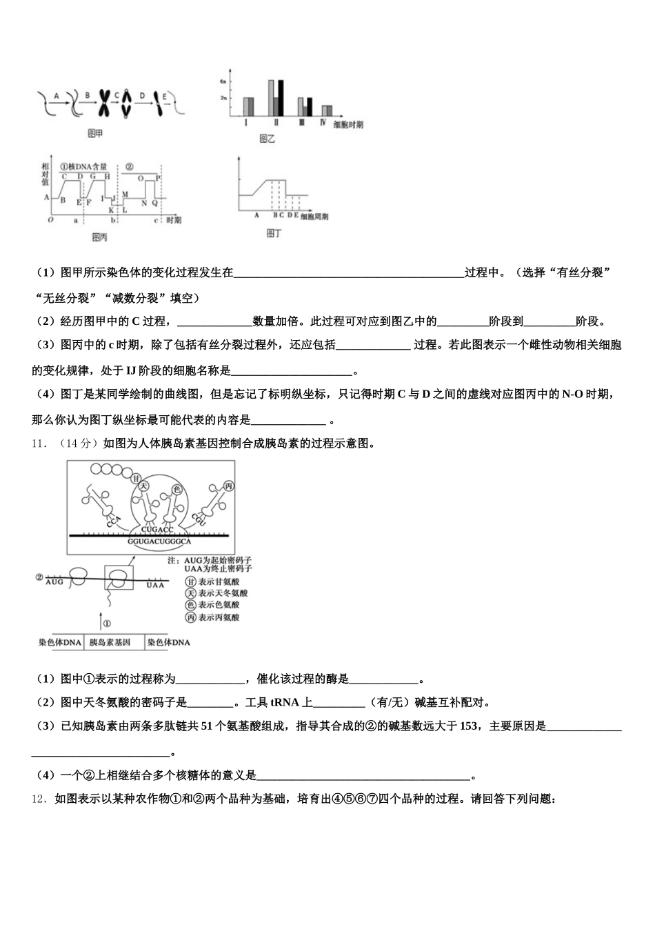 黑龙江省肇东一中2025年高一生物第二学期期末学业质量监测模拟试题含解析_第3页