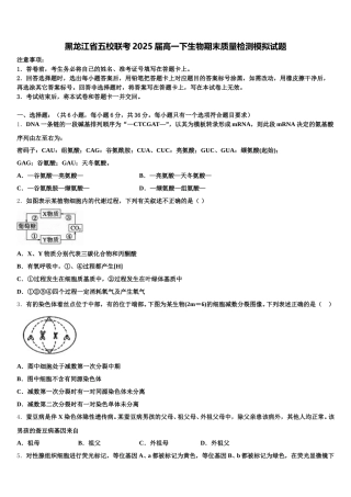 黑龙江省五校联考2025届高一下生物期末质量检测模拟试题含解析