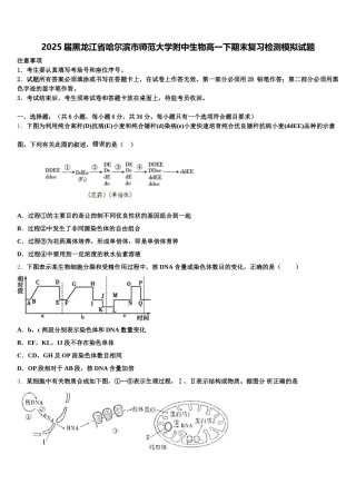 2025届黑龙江省哈尔滨市师范大学附中生物高一下期末复习检测模拟试题含解析