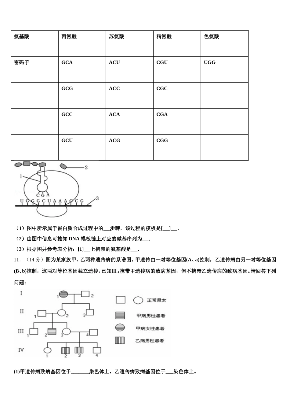 2024-2025学年黑龙江省哈尔滨市呼兰区第一中学校高一下生物期末综合测试模拟试题含解析_第3页