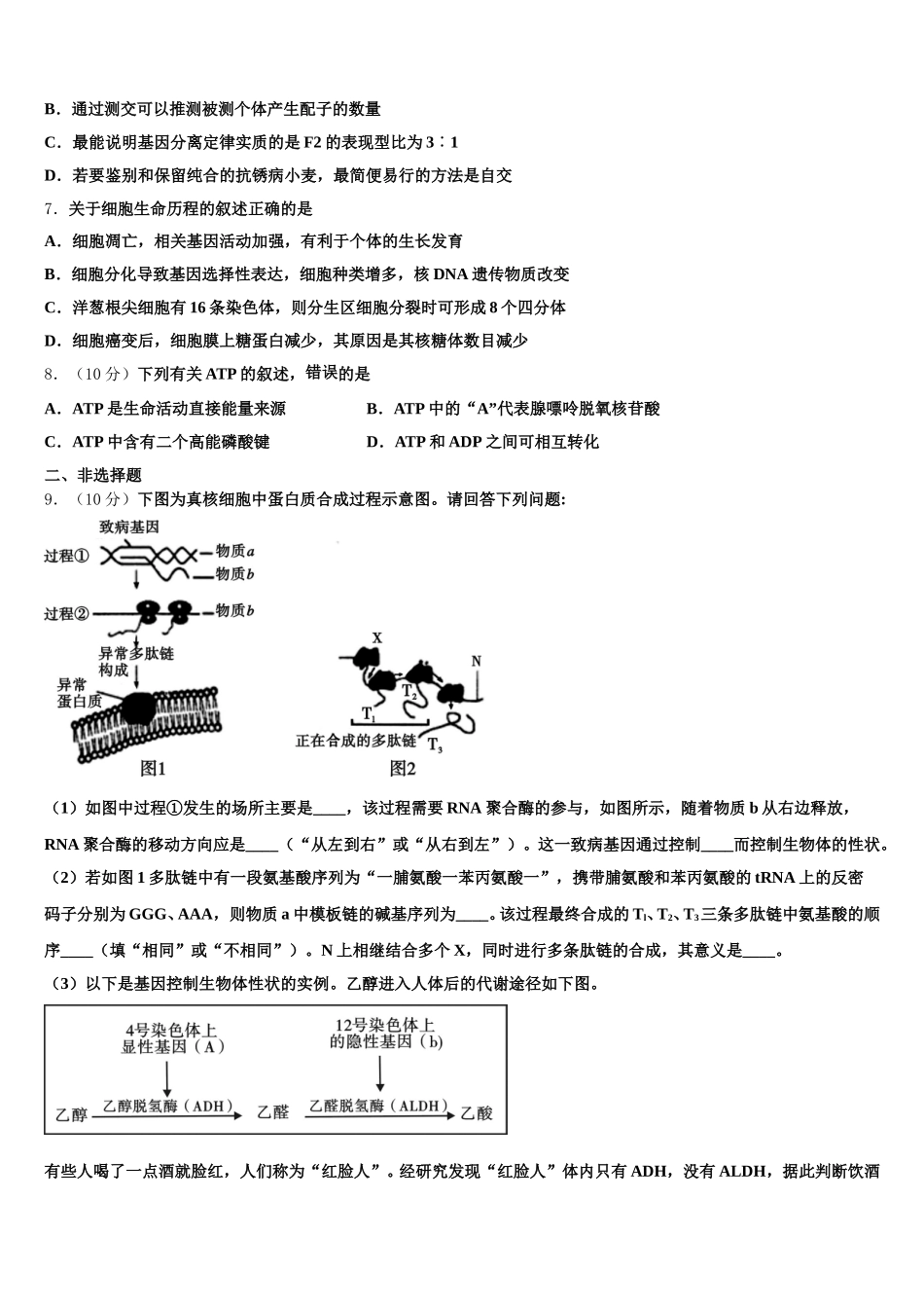 2024-2025学年黑龙江省黑河市通北一中高一下生物期末学业质量监测模拟试题含解析_第2页