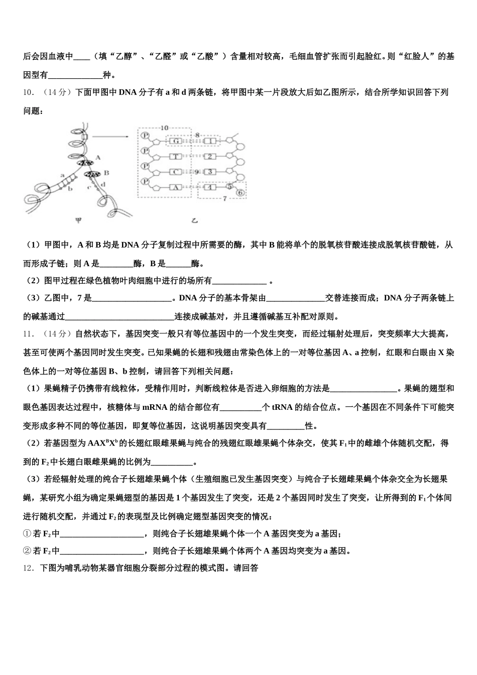 2024-2025学年黑龙江省黑河市通北一中高一下生物期末学业质量监测模拟试题含解析_第3页