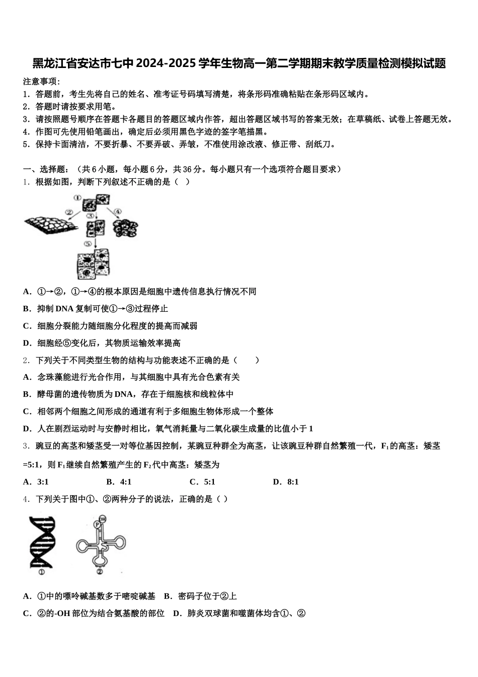 黑龙江省安达市七中2024-2025学年生物高一第二学期期末教学质量检测模拟试题含解析_第1页