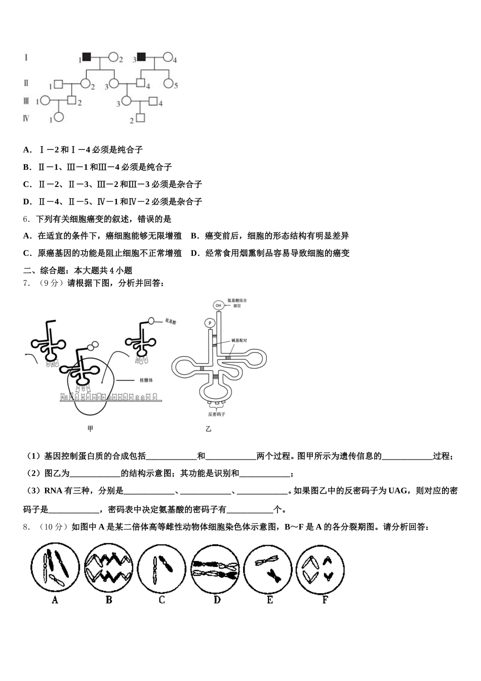黑龙江省鹤岗一中2025年高一生物第二学期期末学业水平测试模拟试题含解析_第2页
