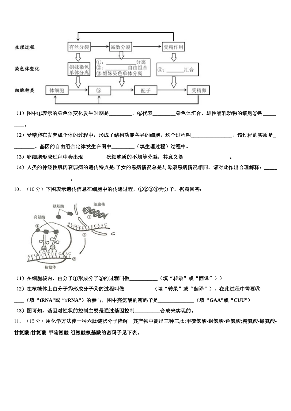 黑龙江省克东县第一中学2025年高一下生物期末达标检测试题含解析_第3页