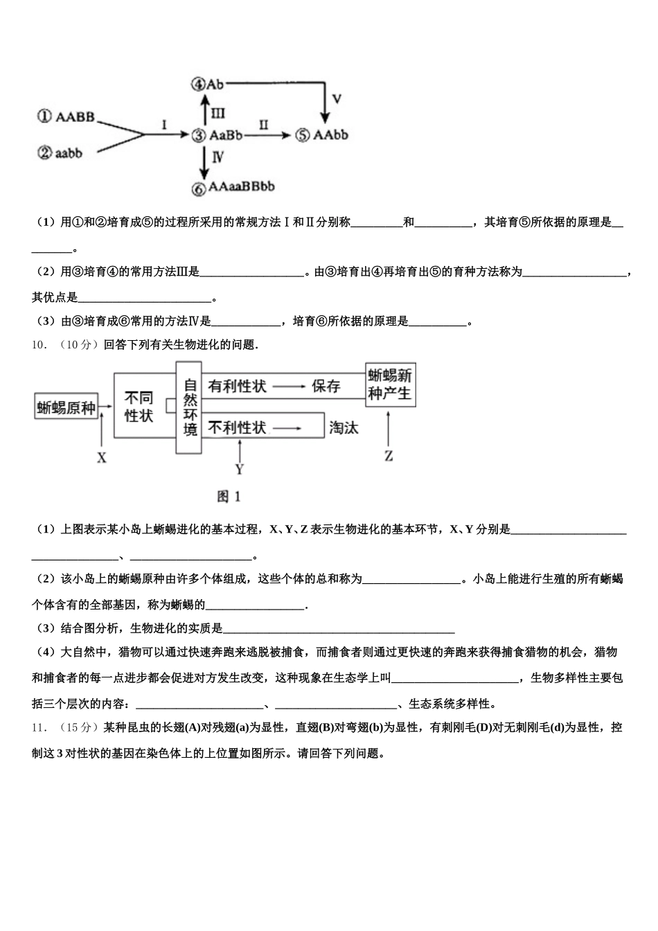 2024-2025学年黑龙江省哈师大附中高一生物第二学期期末考试试题含解析_第3页
