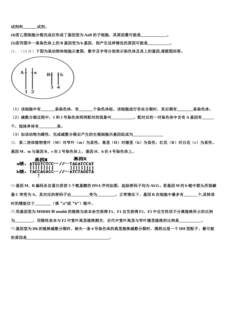 2025年黑龙江省鹤岗市工农区鹤岗一中生物高一第二学期期末复习检测模拟试题含解析_第3页