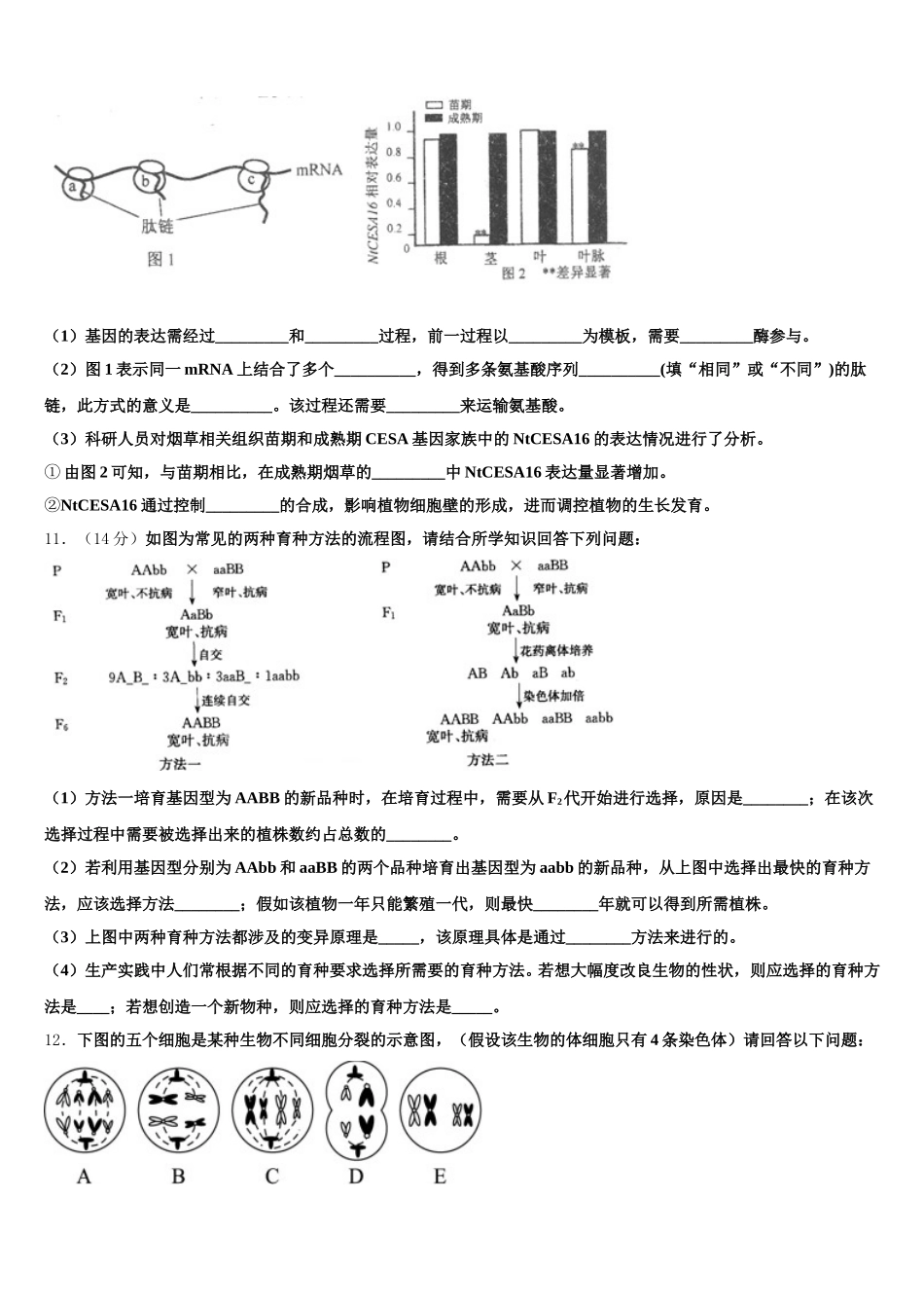 2025年黑龙江省哈尔滨第六中学高一下生物期末统考试题含解析_第3页
