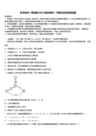 东北四市一模试题2025届生物高一下期末达标检测试题含解析