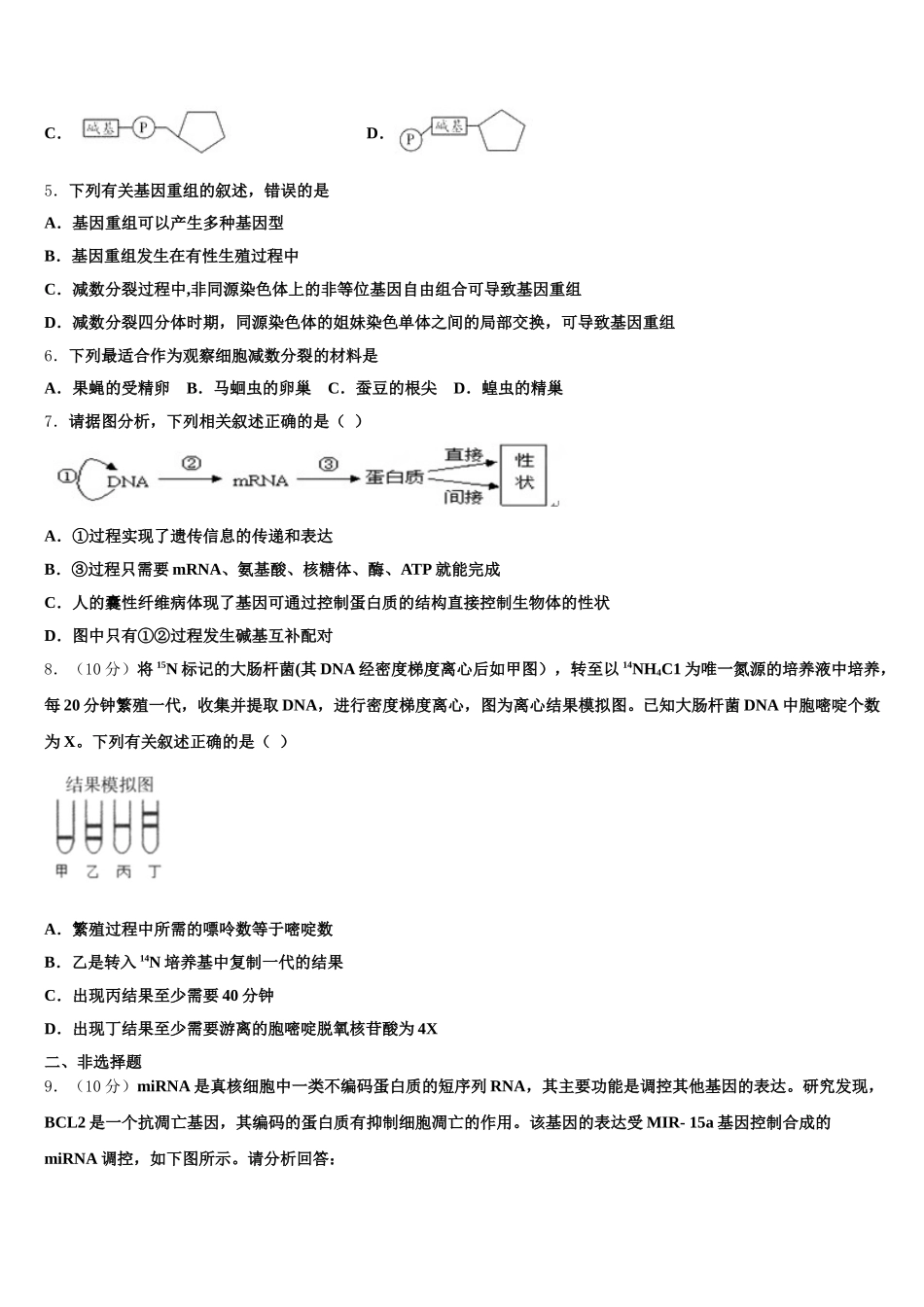 黑龙江省哈尔滨市第24中学2025年生物高一下期末质量检测模拟试题含解析_第2页