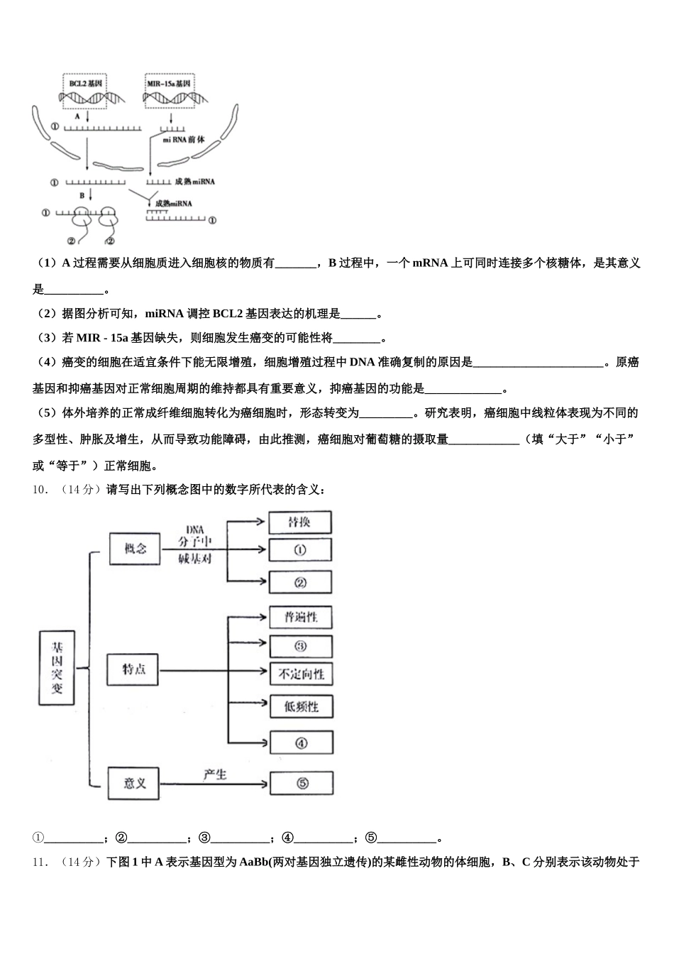 黑龙江省哈尔滨市第24中学2025年生物高一下期末质量检测模拟试题含解析_第3页
