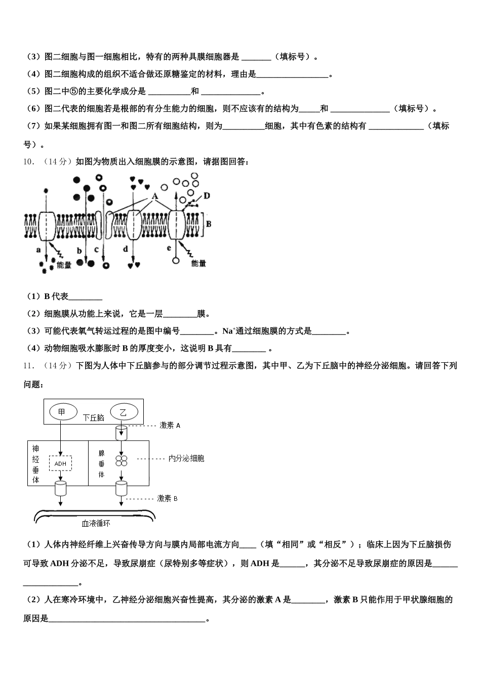 黑龙江省佳木斯市汤原高中2024-2025学年生物高一下期末达标检测模拟试题含解析_第3页