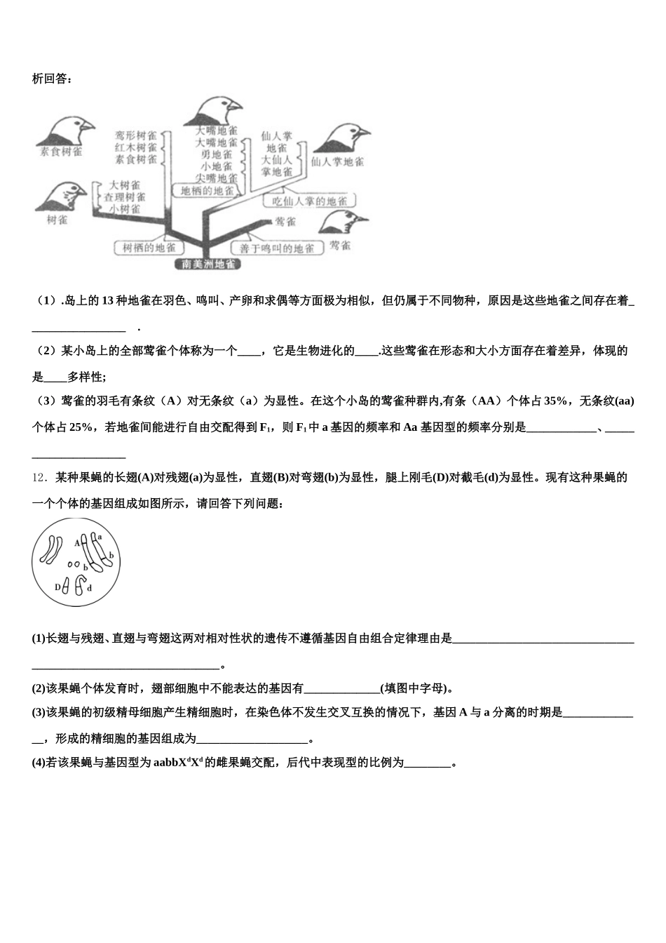 黑龙江省大庆市2025届生物高一下期末调研试题含解析_第3页