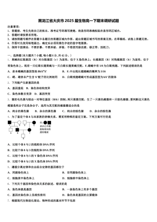 黑龙江省大庆市2025届生物高一下期末调研试题含解析
