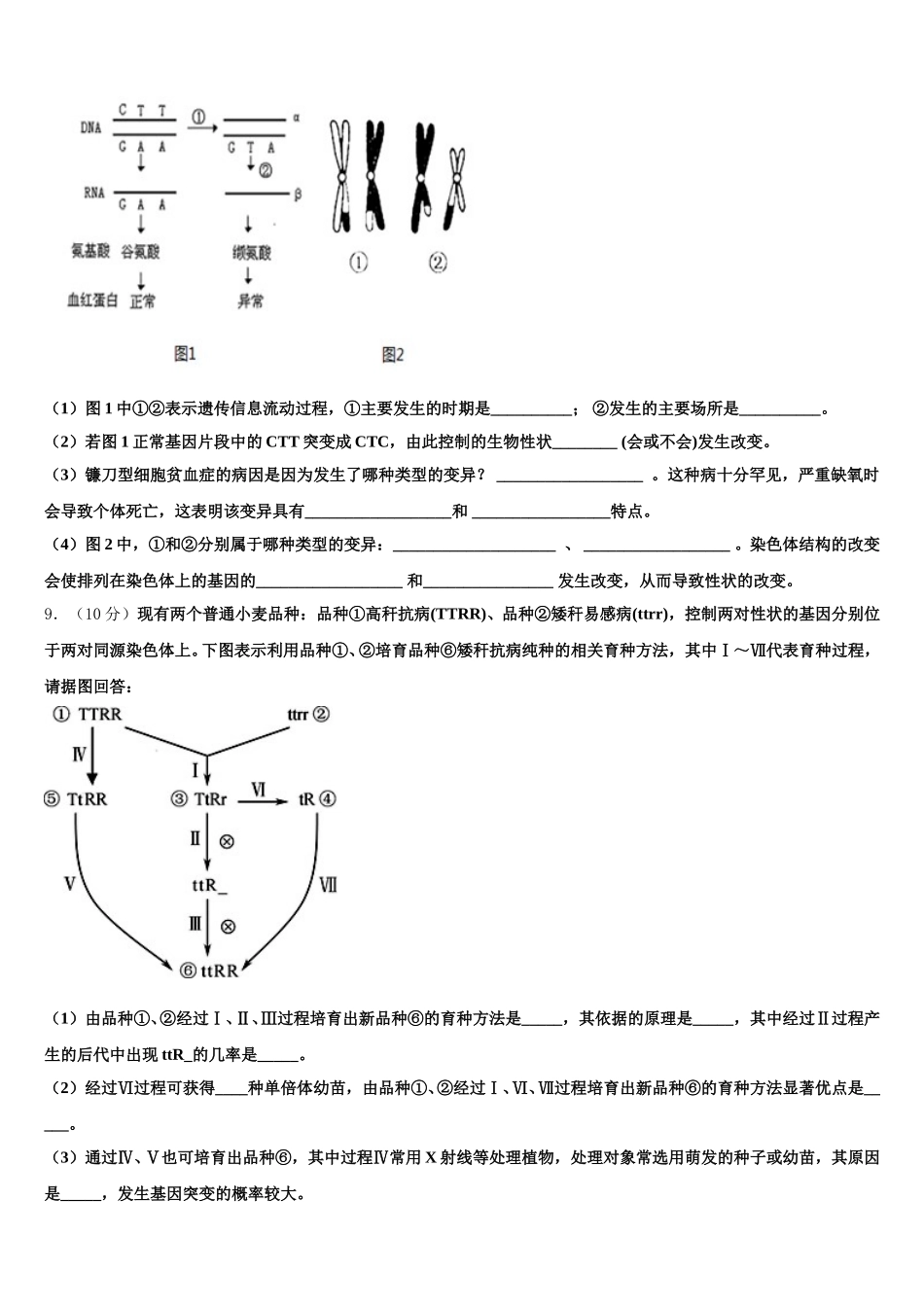 2025届黑龙江省牡丹江市第一高级中学高一生物第二学期期末联考模拟试题含解析_第3页